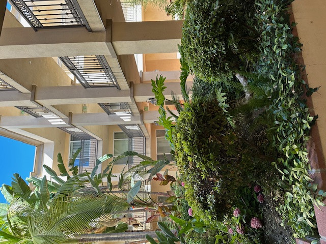 Condo leaks: planter adjacent to condo creating interior water damage, mold damage